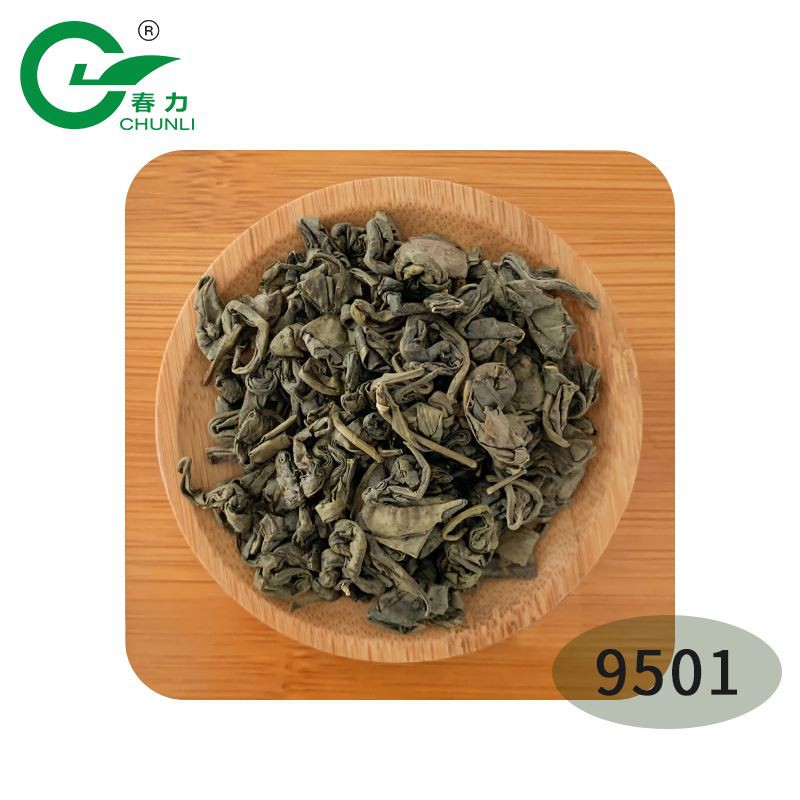 best green tea to import