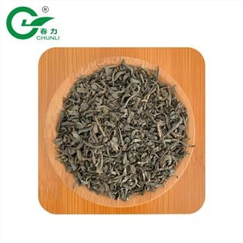Chunmee Tea Rasva põletamine Tea 9369 Orgaaniline